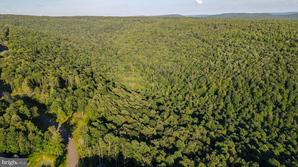 Lot 168 FORK RUN TRAIL