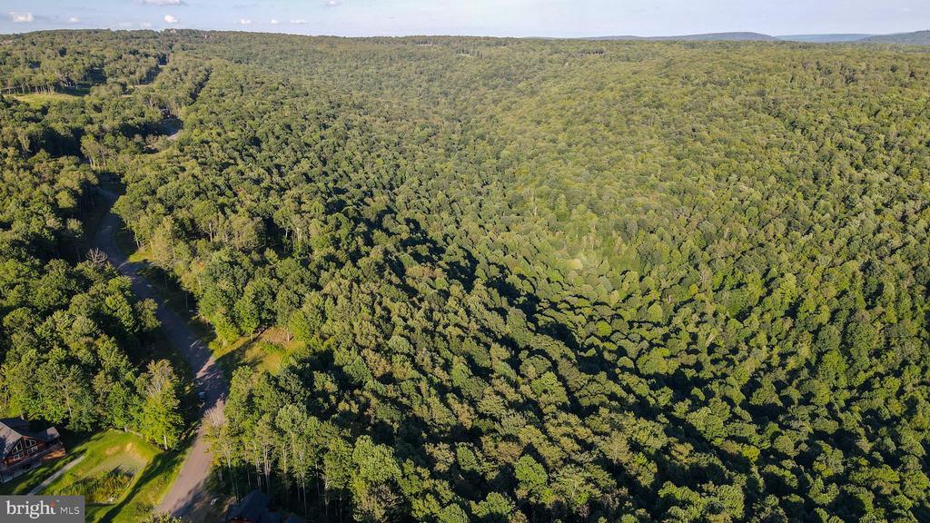 Lot 168 FORK RUN TRAIL