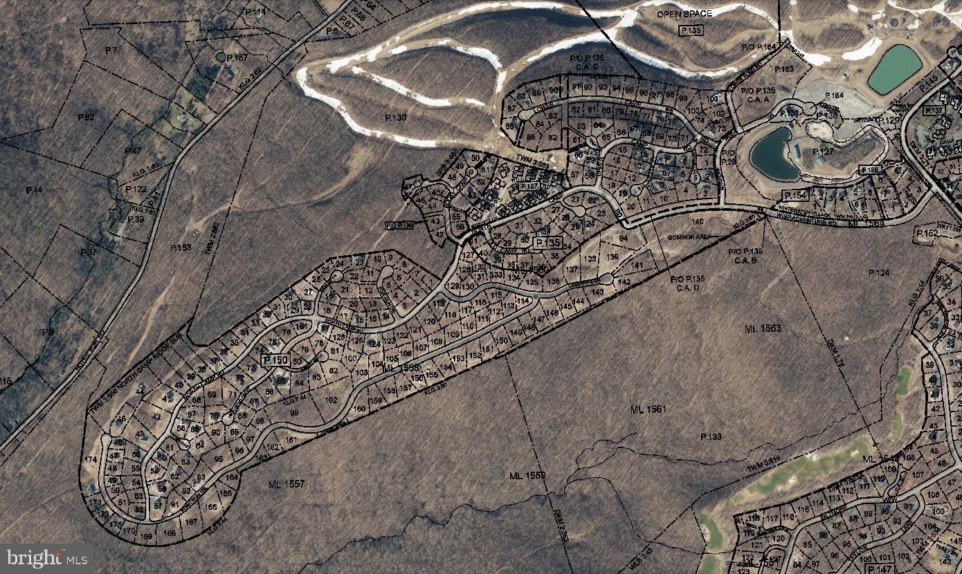 Lot 168 FORK RUN TRAIL