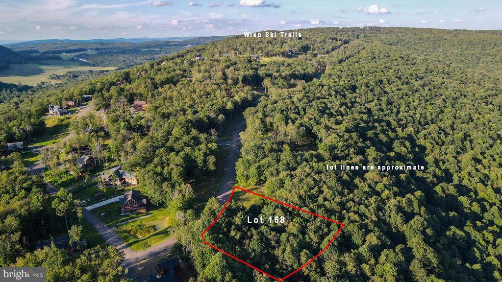 Lot 168 FORK RUN TRAIL