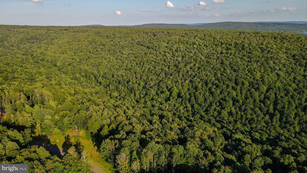Lot 168 FORK RUN TRAIL