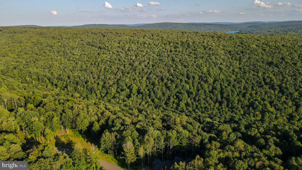 Lot 168 FORK RUN TRAIL