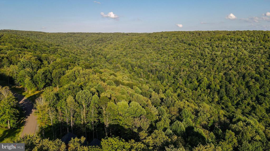 Lot 168 FORK RUN TRAIL
