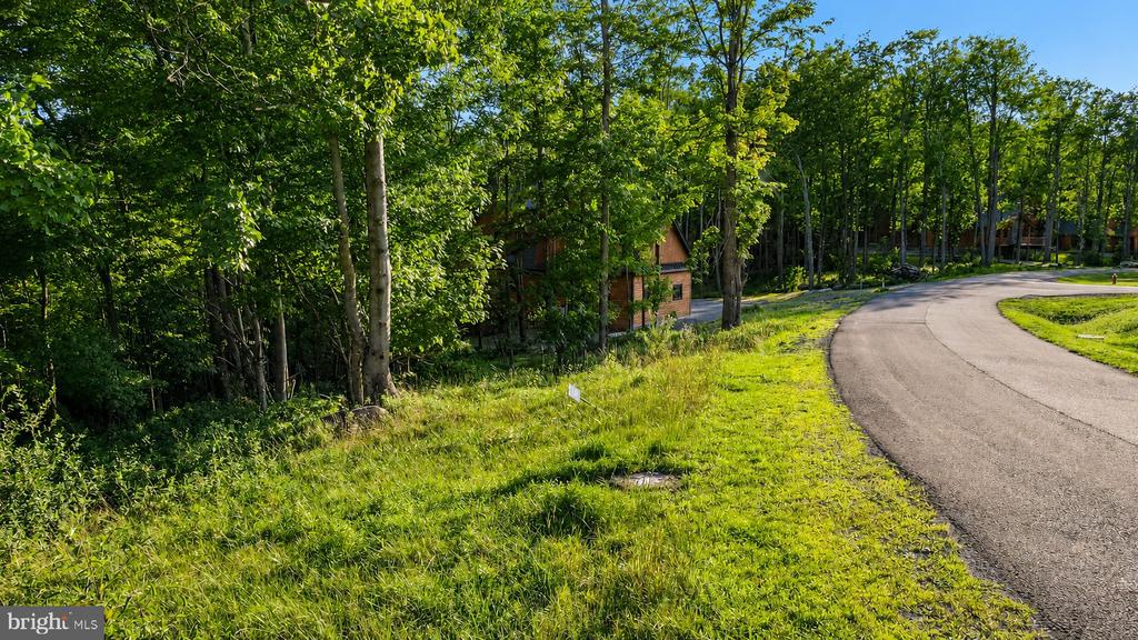 Lot 168 FORK RUN TRAIL