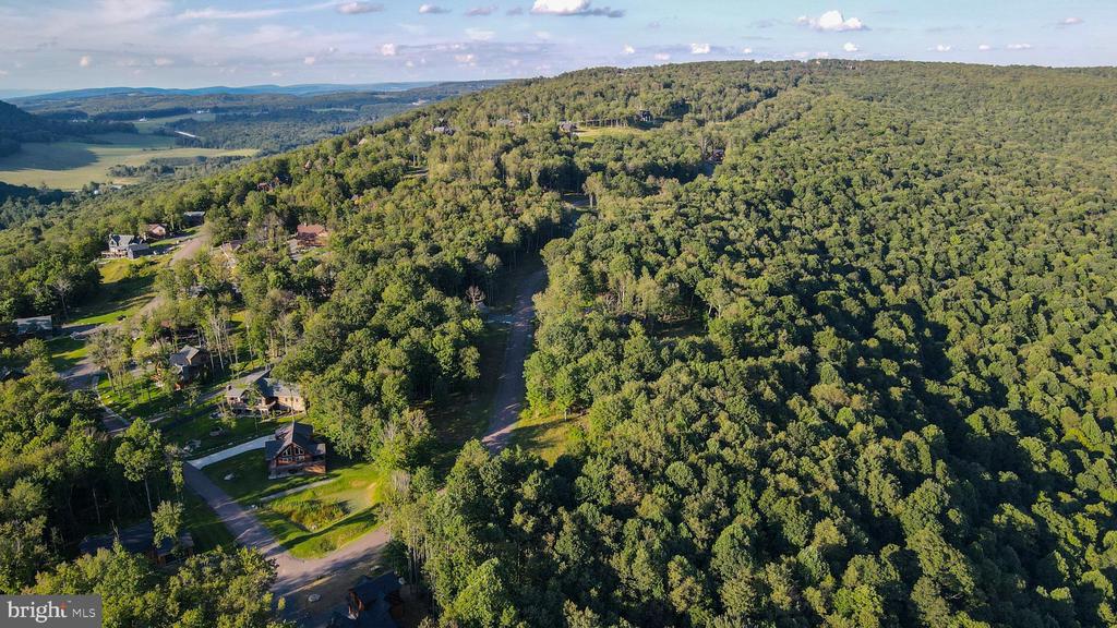 Lot 168 FORK RUN TRAIL