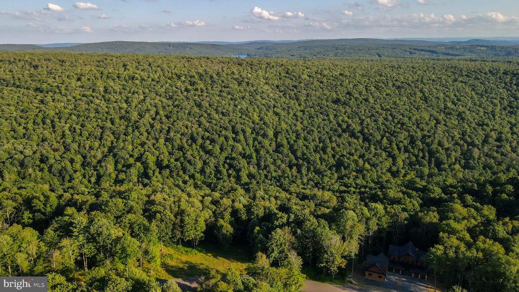 Lot 168 FORK RUN TRAIL