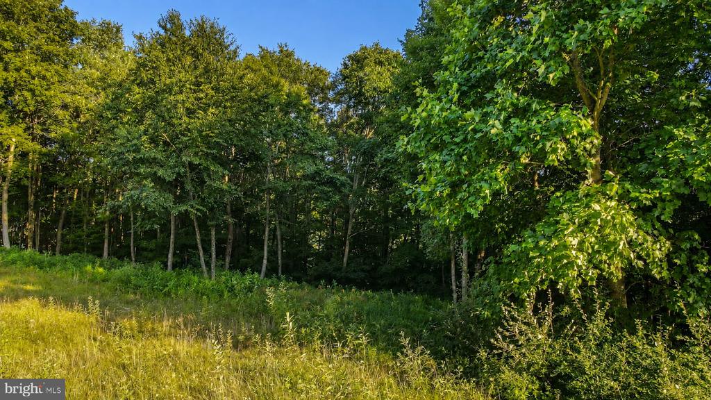 Lot 168 FORK RUN TRAIL