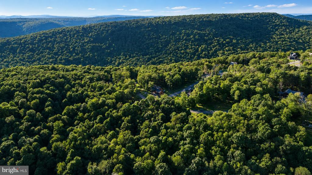 Lot 168 FORK RUN TRAIL