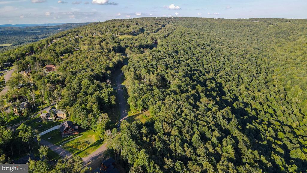 Lot 168 FORK RUN TRAIL