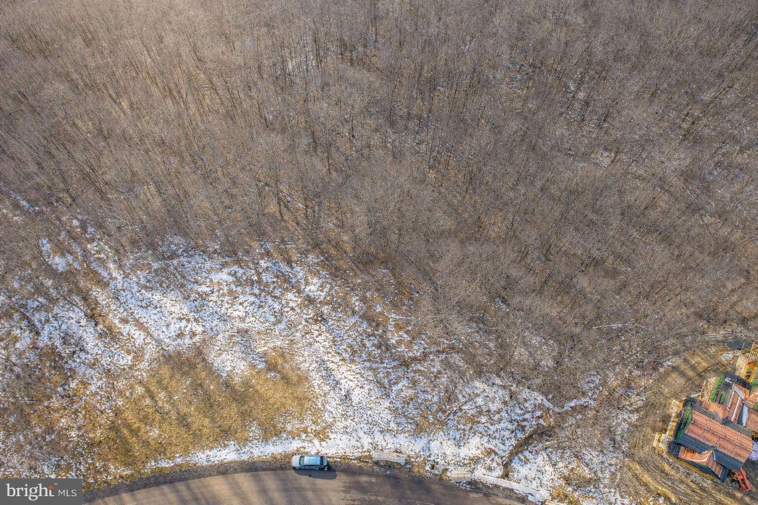 Lot 168 FORK RUN TRAIL