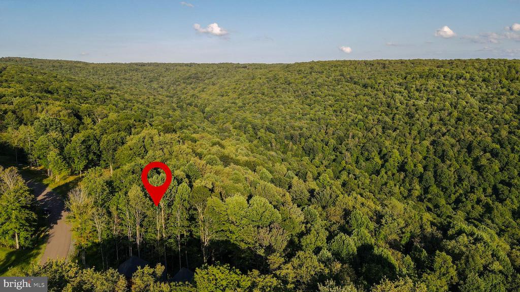 Lot 168 FORK RUN TRAIL