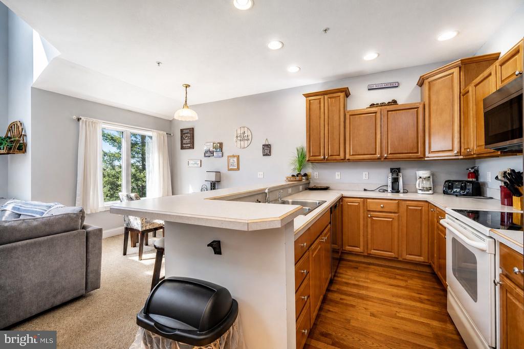 267 MOSSER ROAD 1