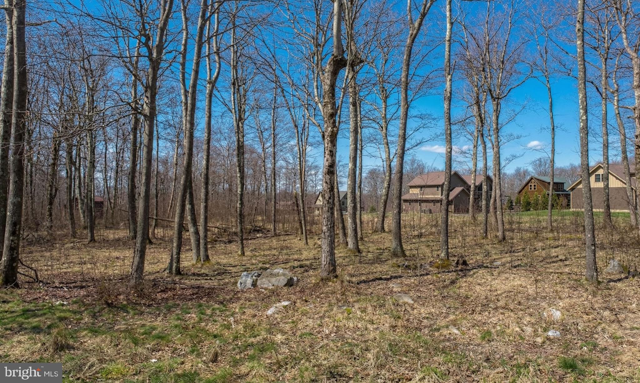 Lot 54 BILTMORE RIDGE TRAIL