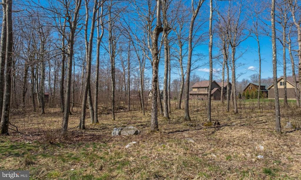 Lot 54 BILTMORE RIDGE TRAIL