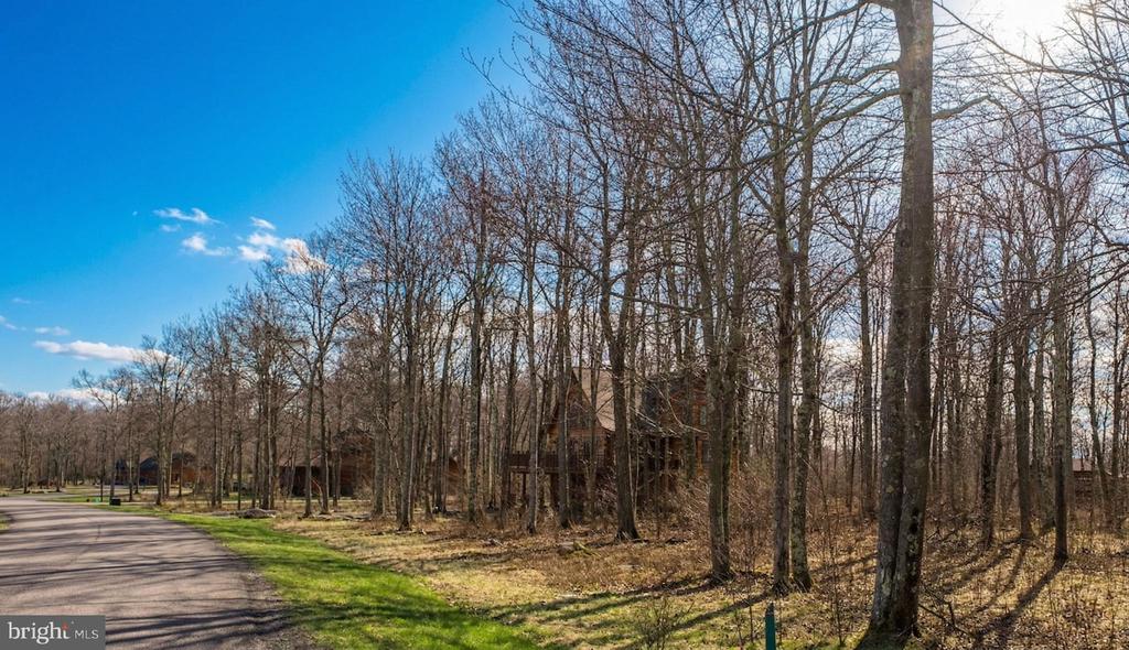 Lot 54 BILTMORE RIDGE TRAIL