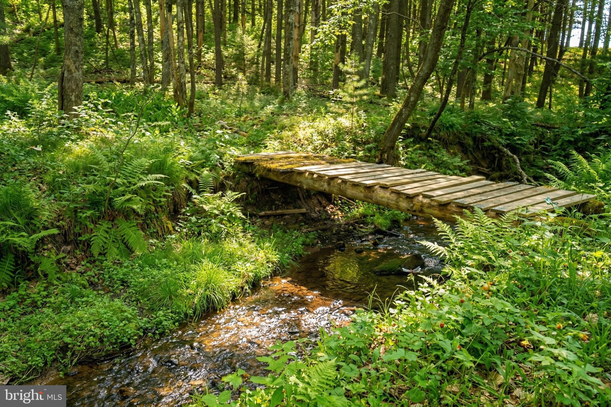 2571 SHADY DELL ROAD