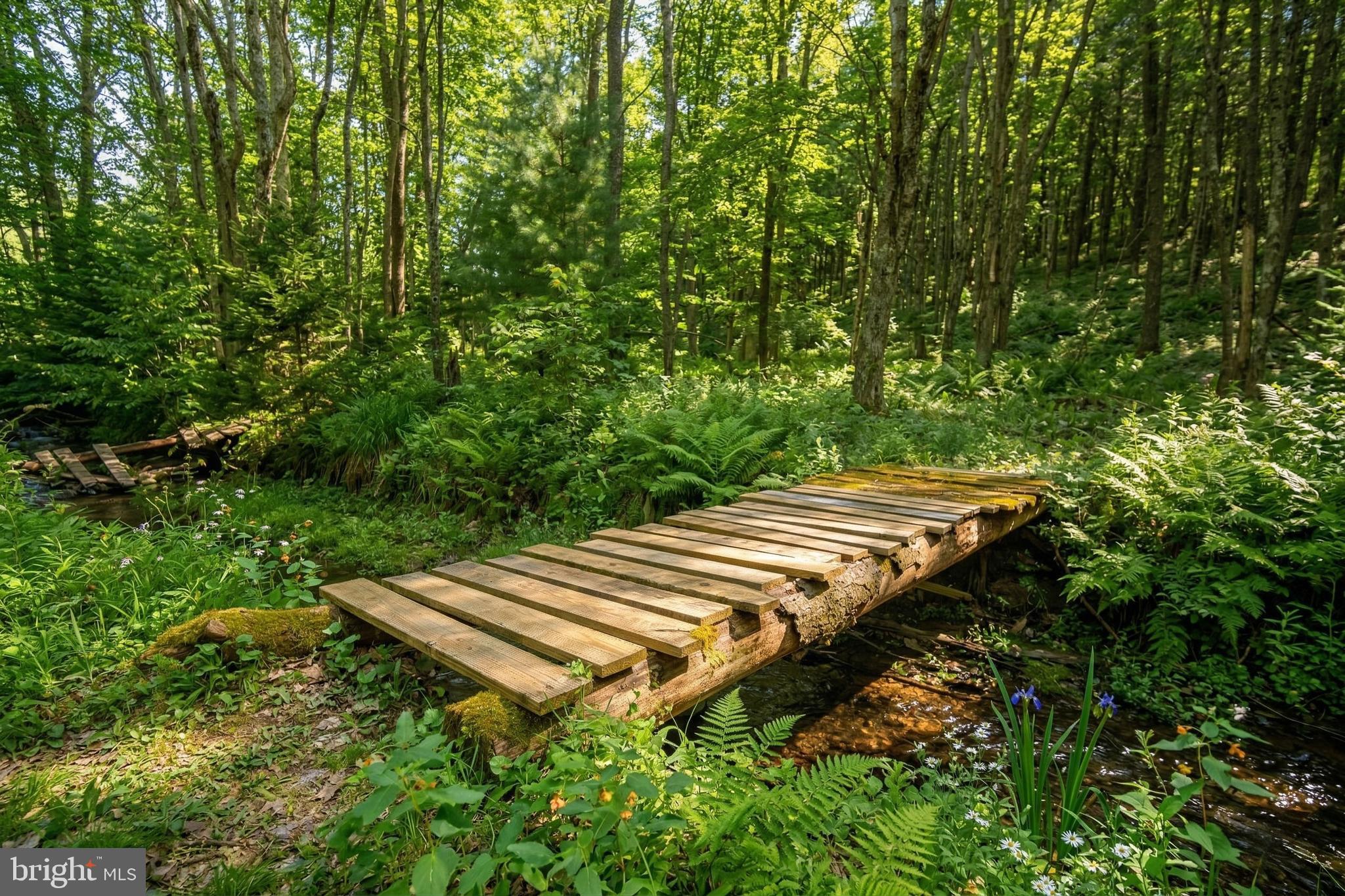 2571 SHADY DELL ROAD