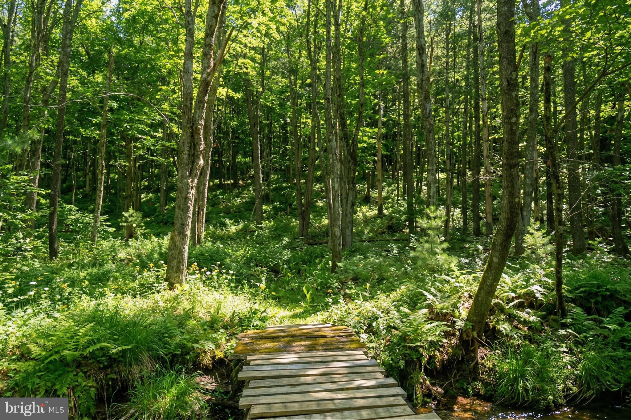 2571 SHADY DELL ROAD