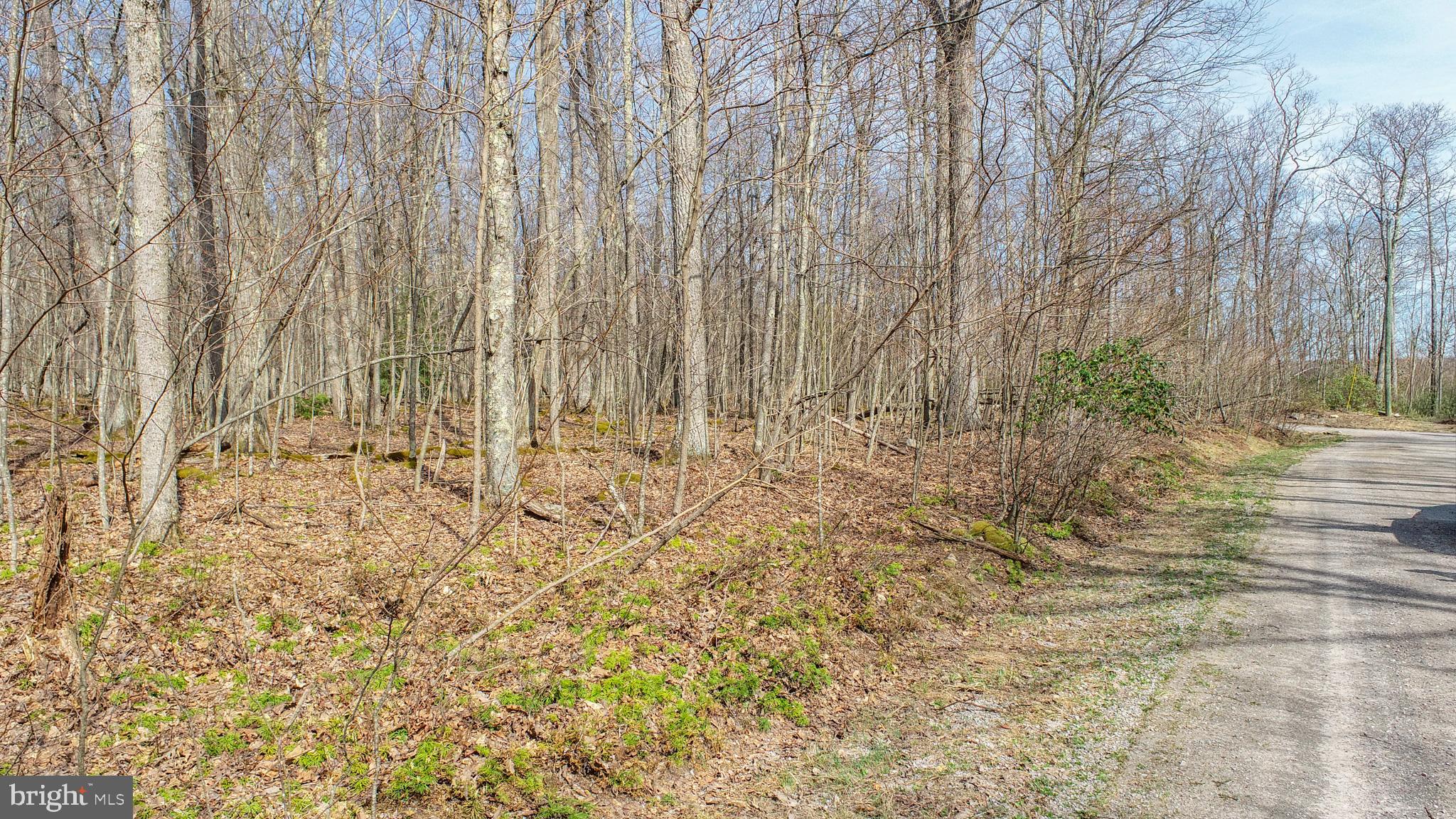 Lots 37 & 38 FIR TREE DRIVE