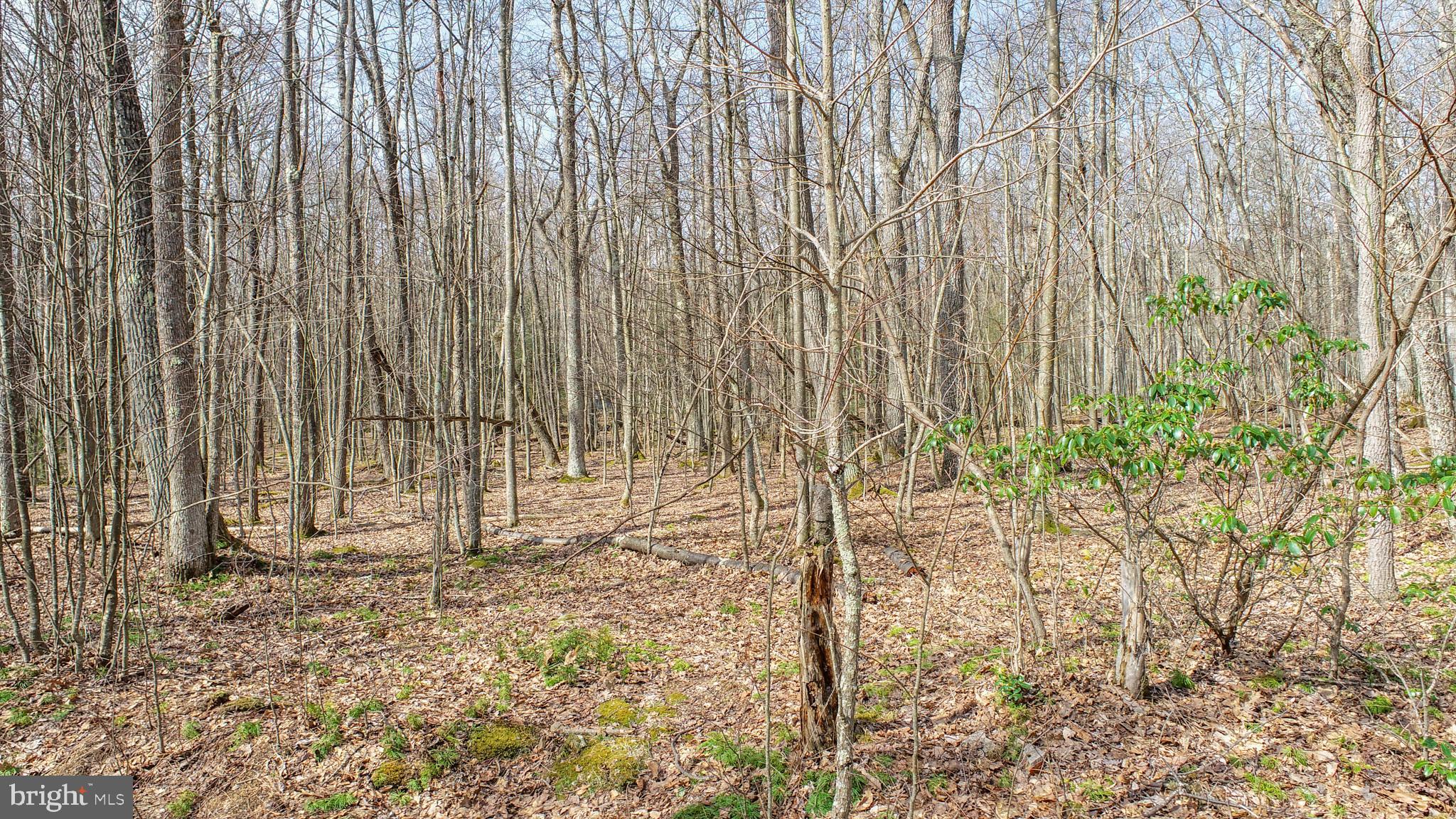 Lots 37 & 38 FIR TREE DRIVE