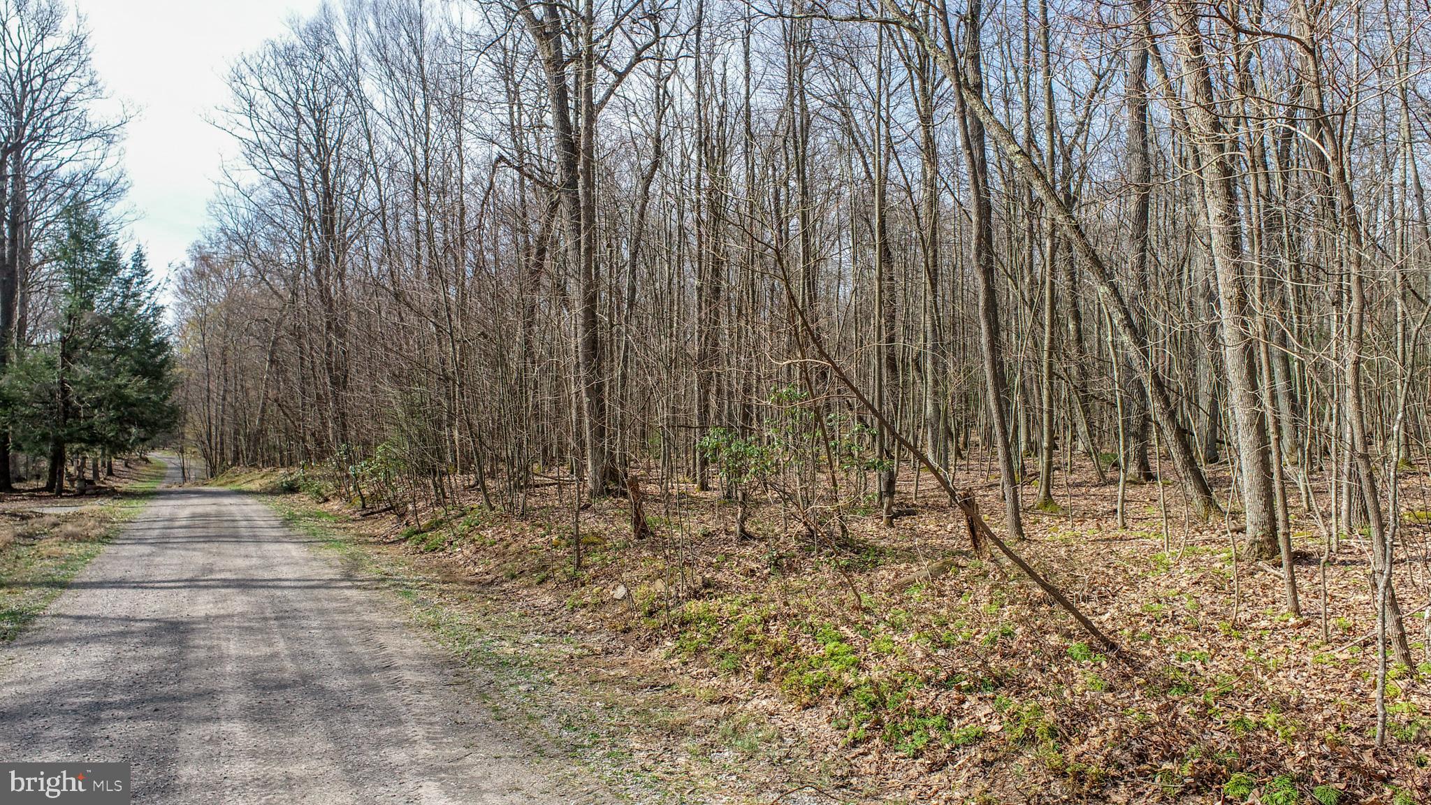 Lots 37 & 38 FIR TREE DRIVE