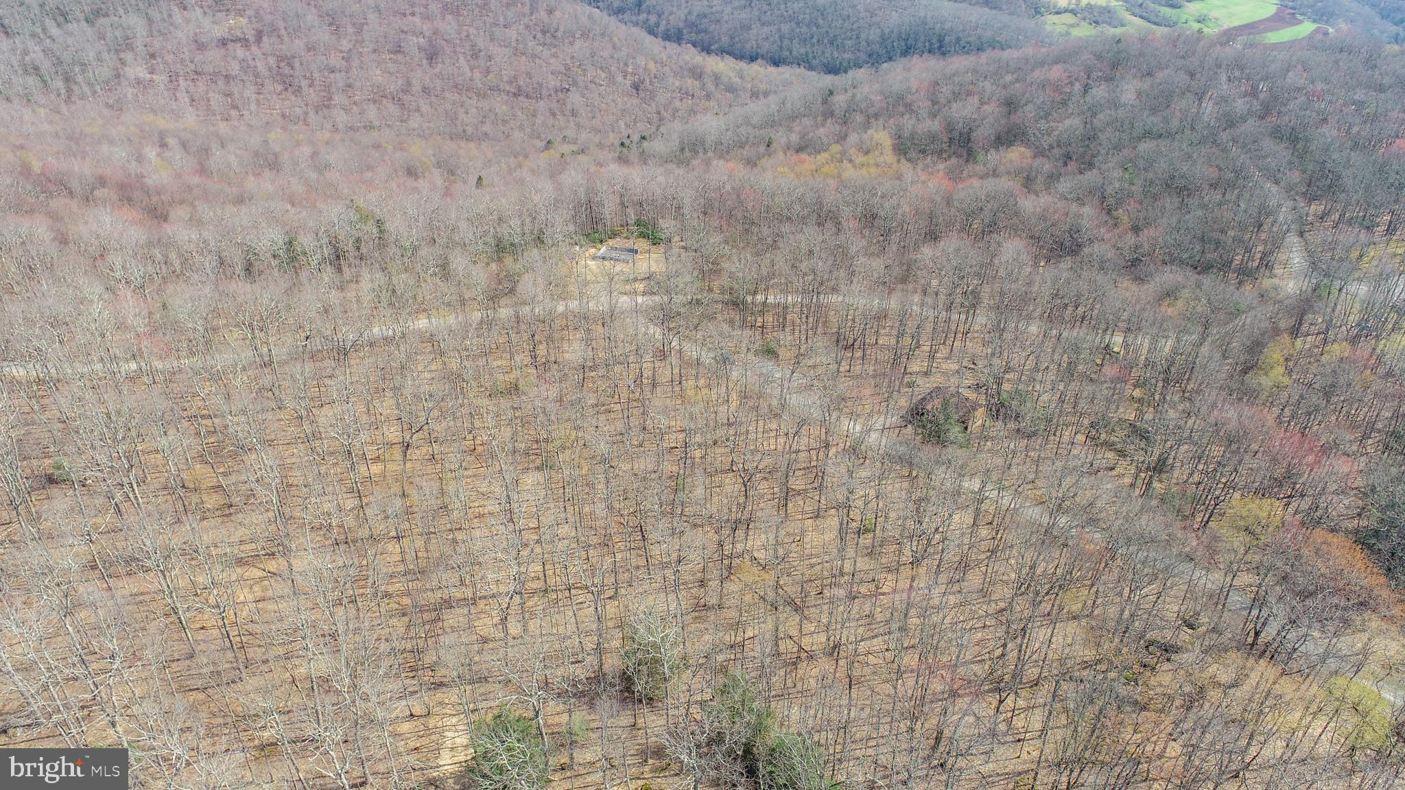 Lots 37 & 38 FIR TREE DRIVE