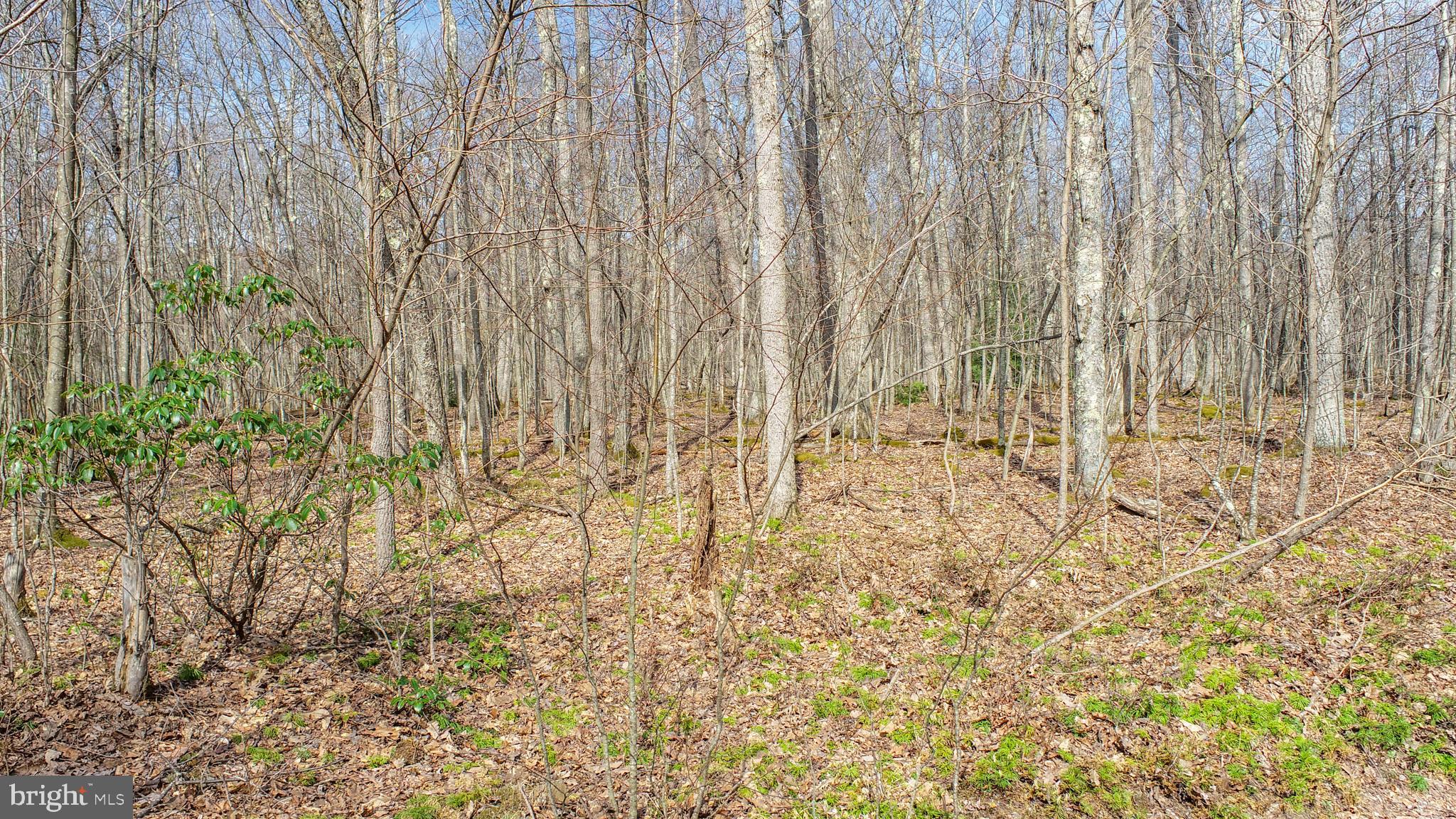 Lots 37 & 38 FIR TREE DRIVE