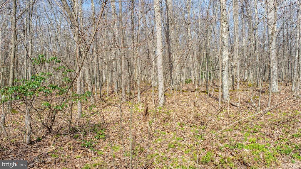 Lots 37 & 38 FIR TREE DRIVE