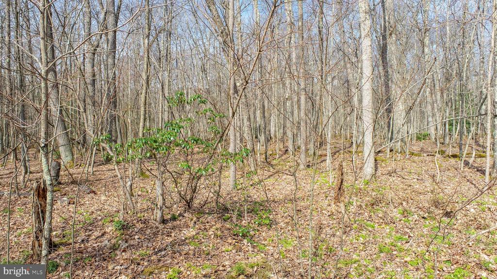 Lots 37 & 38 FIR TREE DRIVE