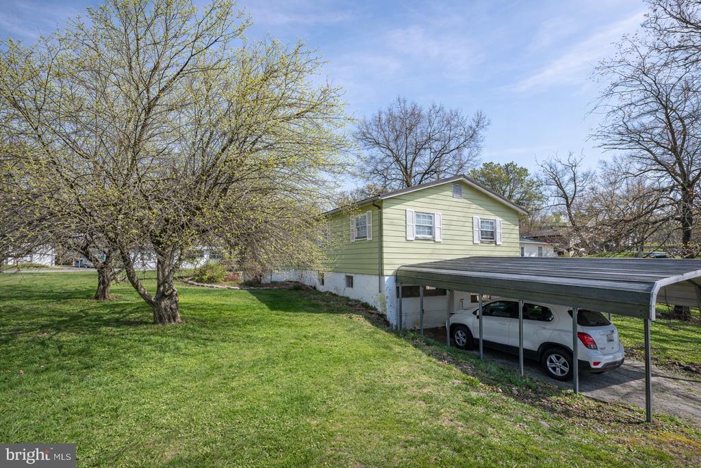 505 SHENANDOAH AVENUE
