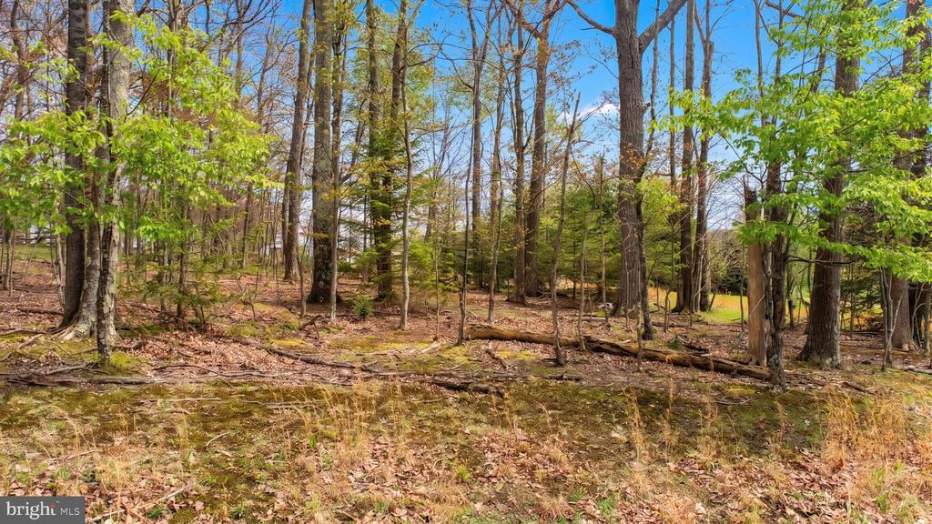 Lot 1 ASPEN WOODS DRIVE