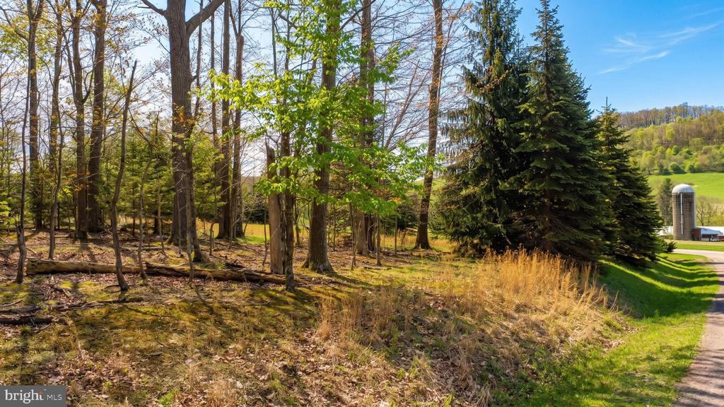 Lot 1 ASPEN WOODS DRIVE