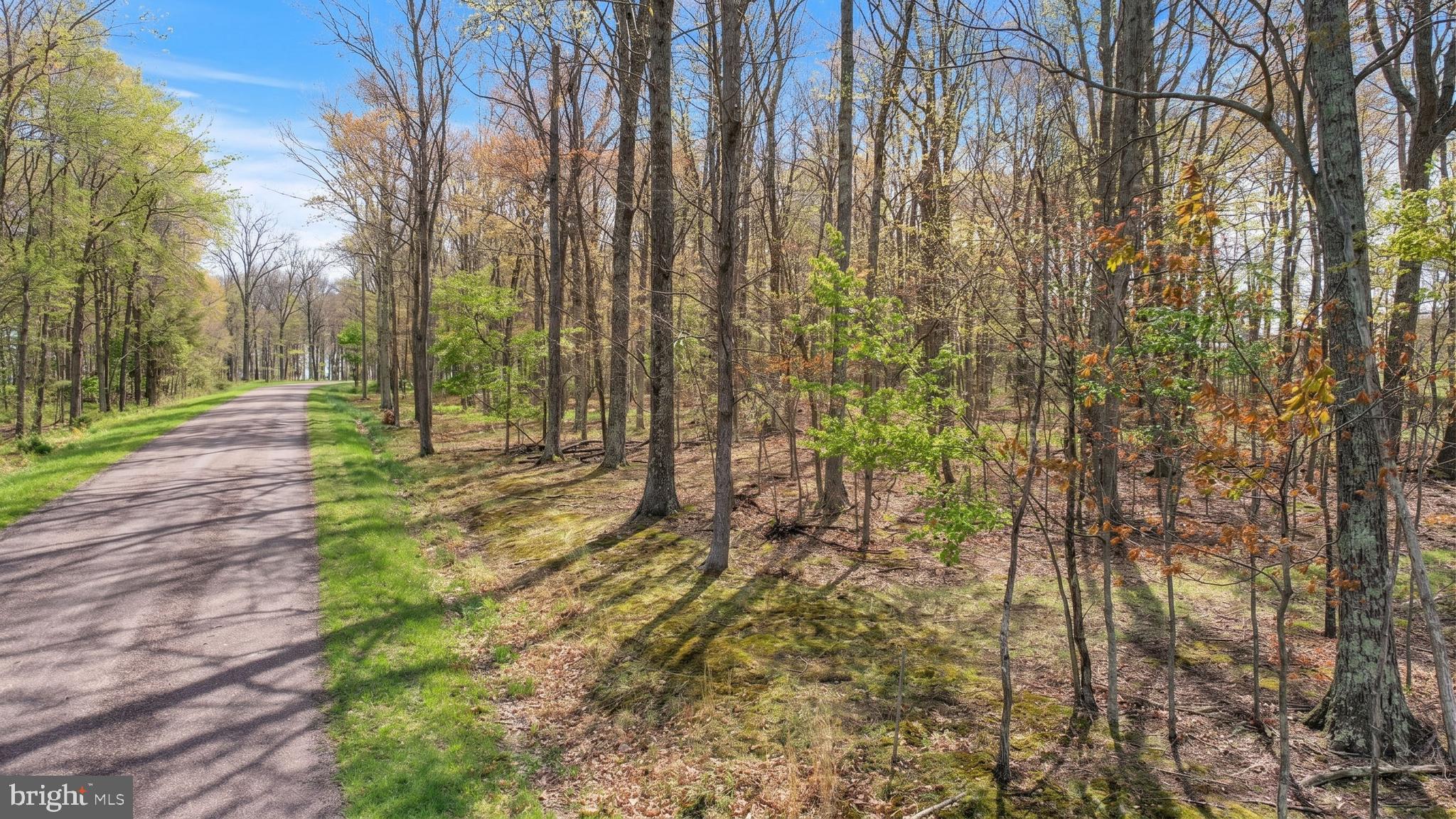 Lot 1 ASPEN WOODS DRIVE