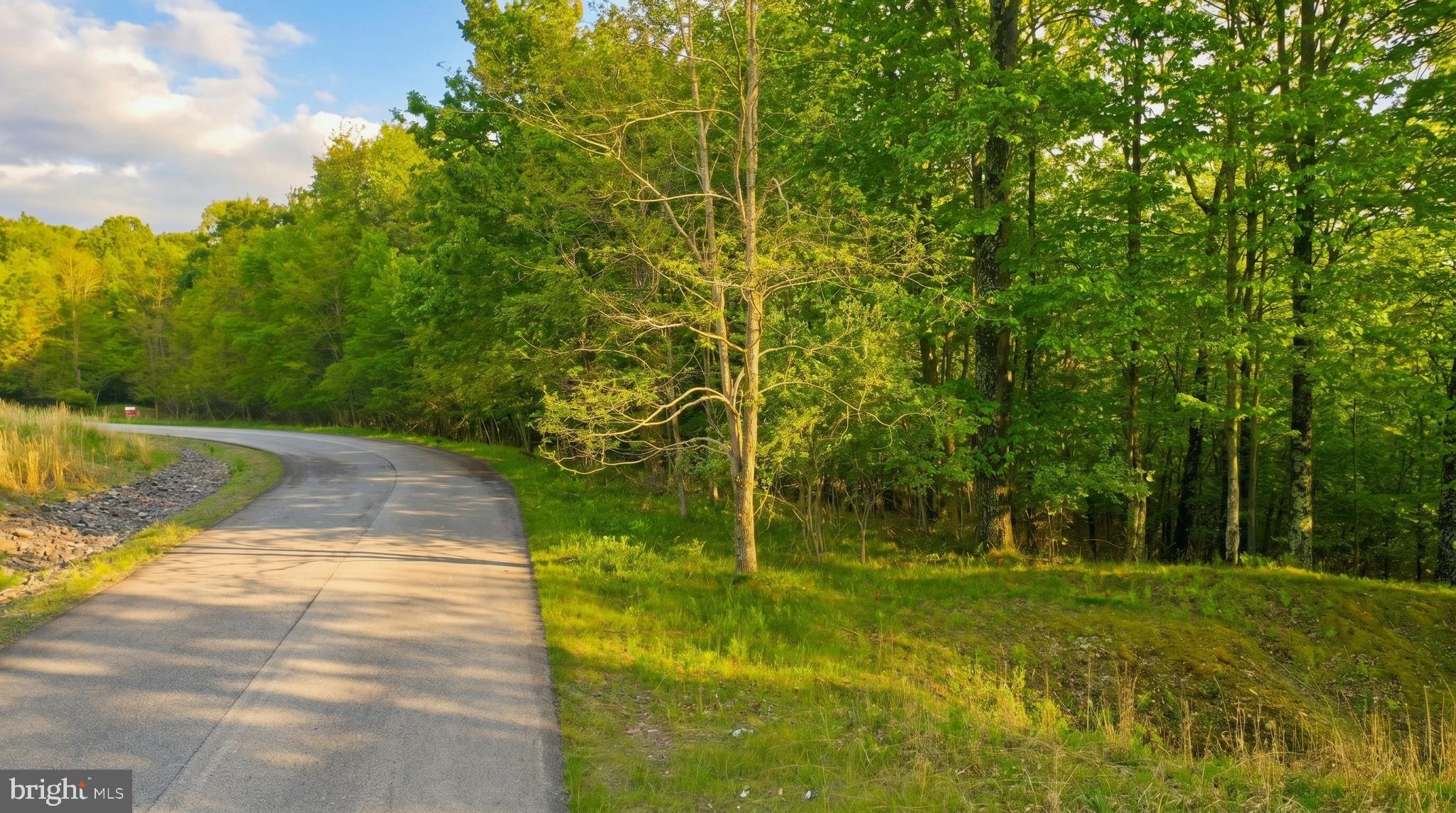Lot 10 WOODLANDS HILL LANE