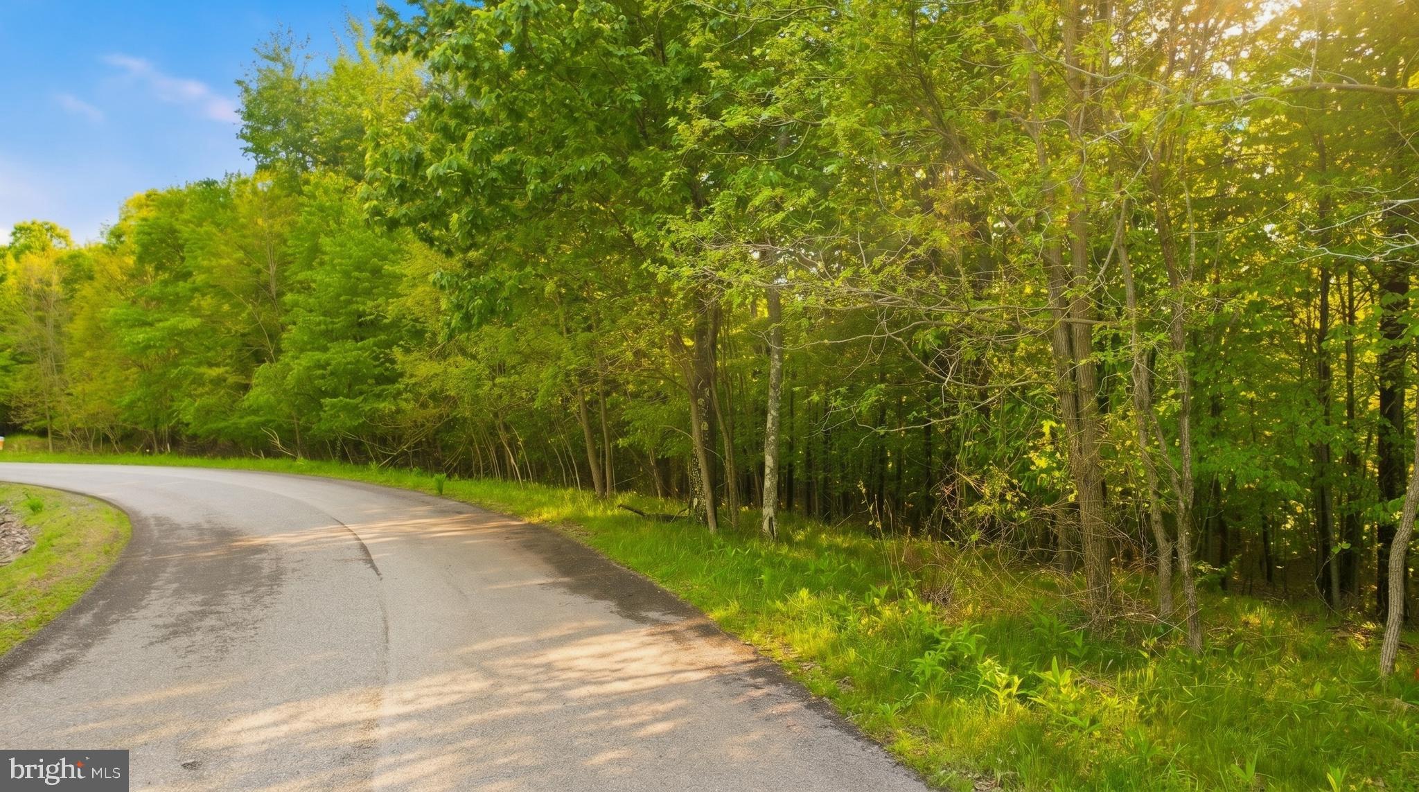 Lot 10 WOODLANDS HILL LANE