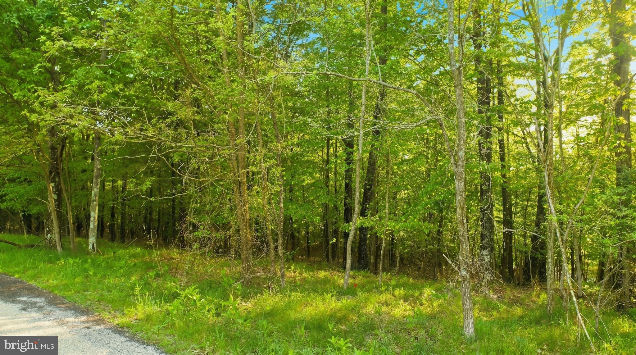 Lot 10 WOODLANDS HILL LANE