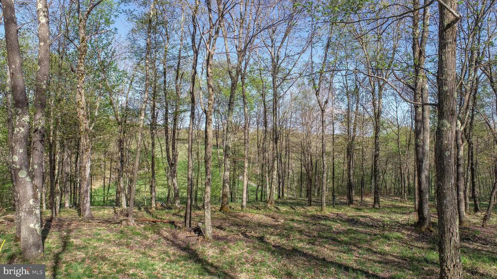 Lot 4 LODESTONE WAY
