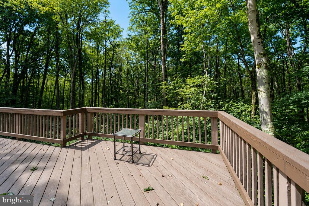 230 SPRINGHOUSE WAY