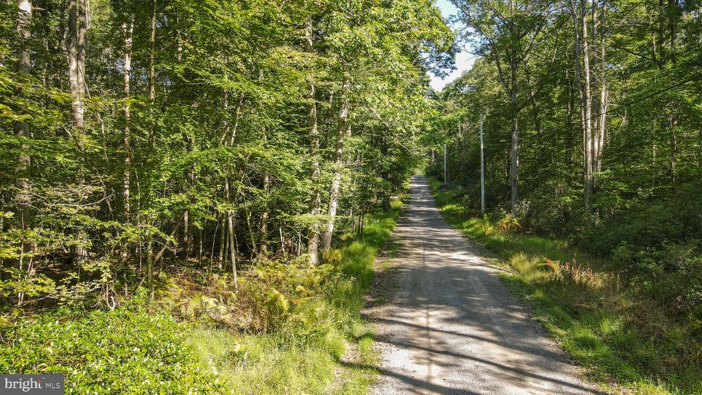 Lot 40 DOGWOOD DRIVE
