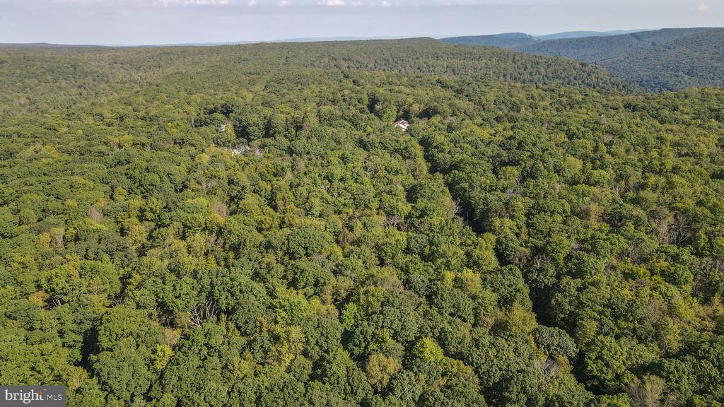 Lot 40 DOGWOOD DRIVE