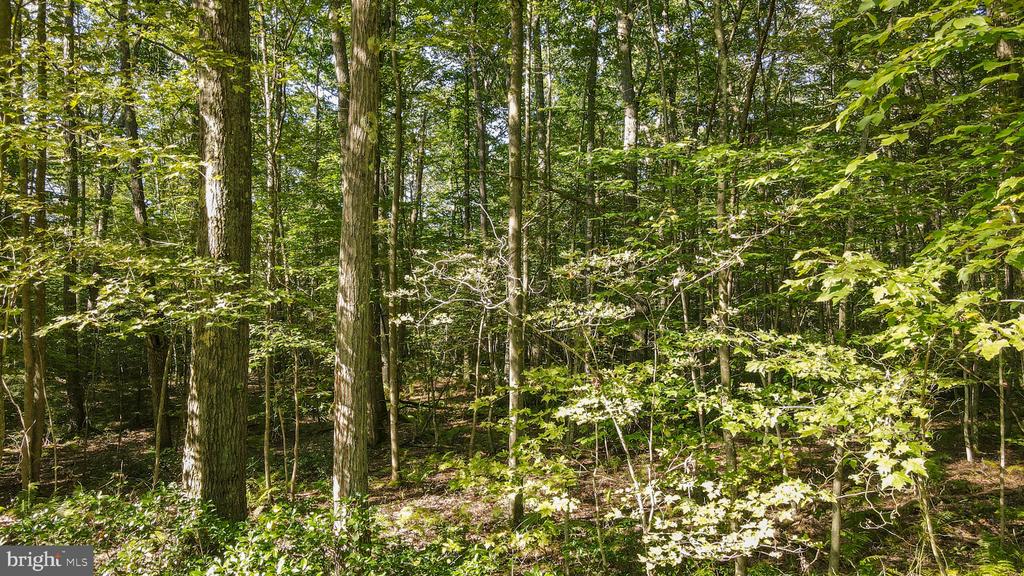 Lot 40 DOGWOOD DRIVE