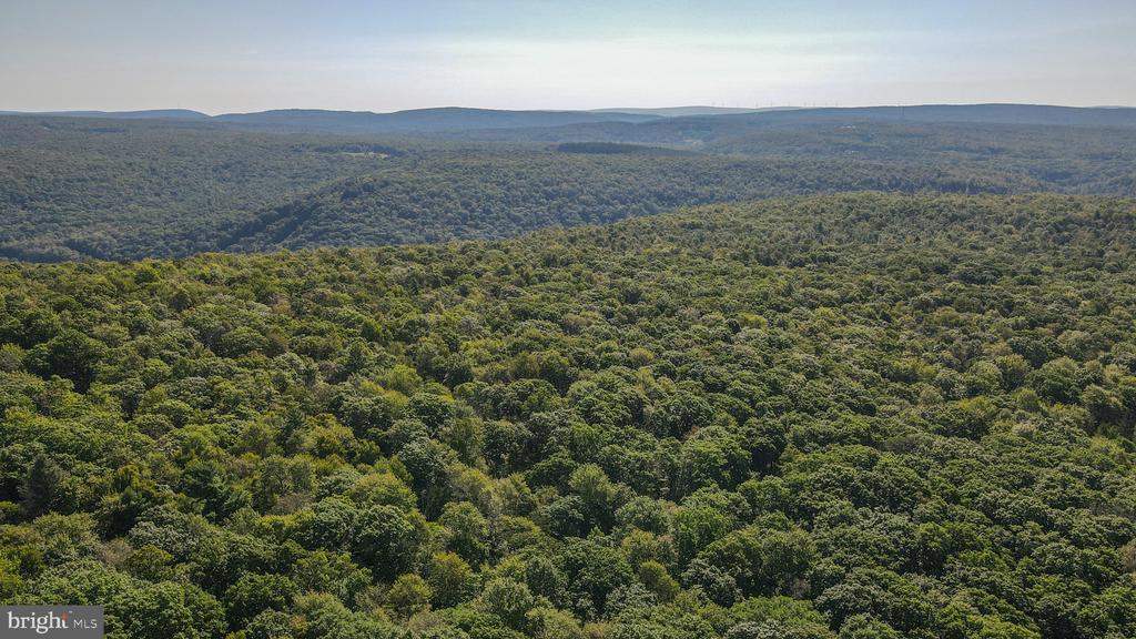 Lot 40 DOGWOOD DRIVE
