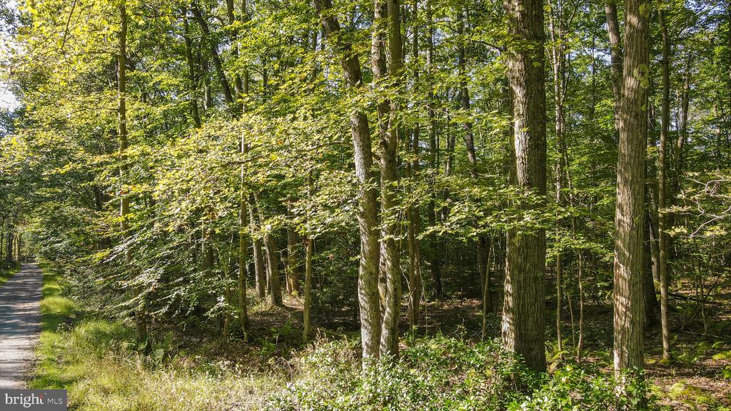 Lot 40 DOGWOOD DRIVE