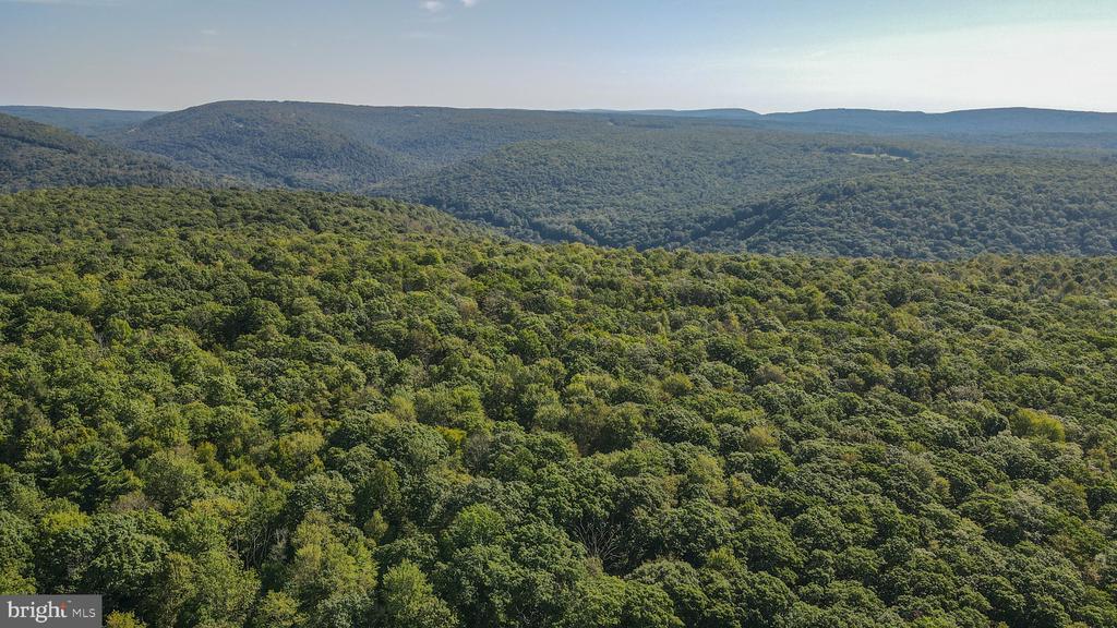 Lot 40 DOGWOOD DRIVE