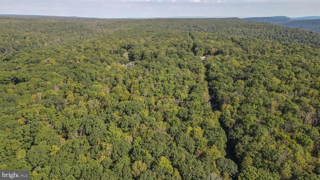 Lot 40 DOGWOOD DRIVE