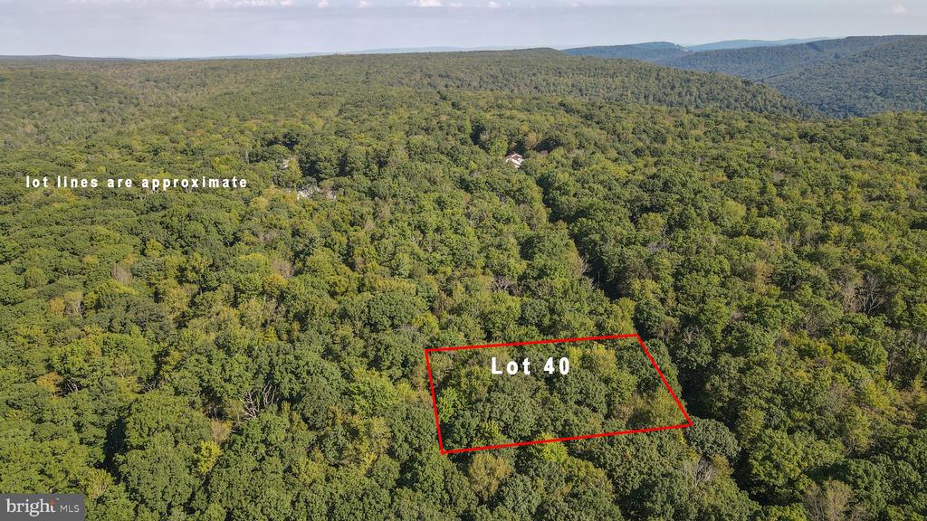 Lot 40 DOGWOOD DRIVE