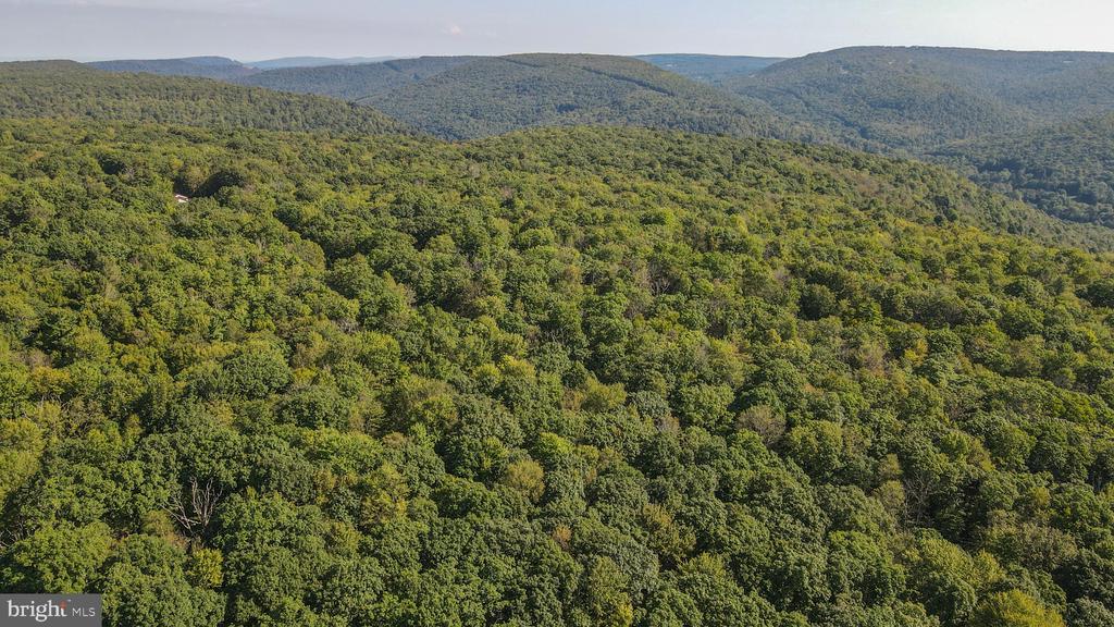 Lot 40 DOGWOOD DRIVE