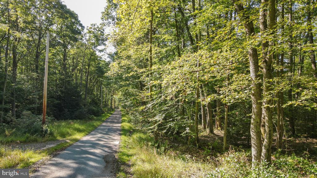 Lot 40 DOGWOOD DRIVE