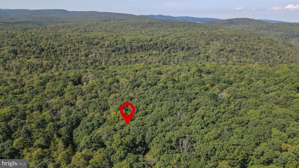 Lot 40 DOGWOOD DRIVE