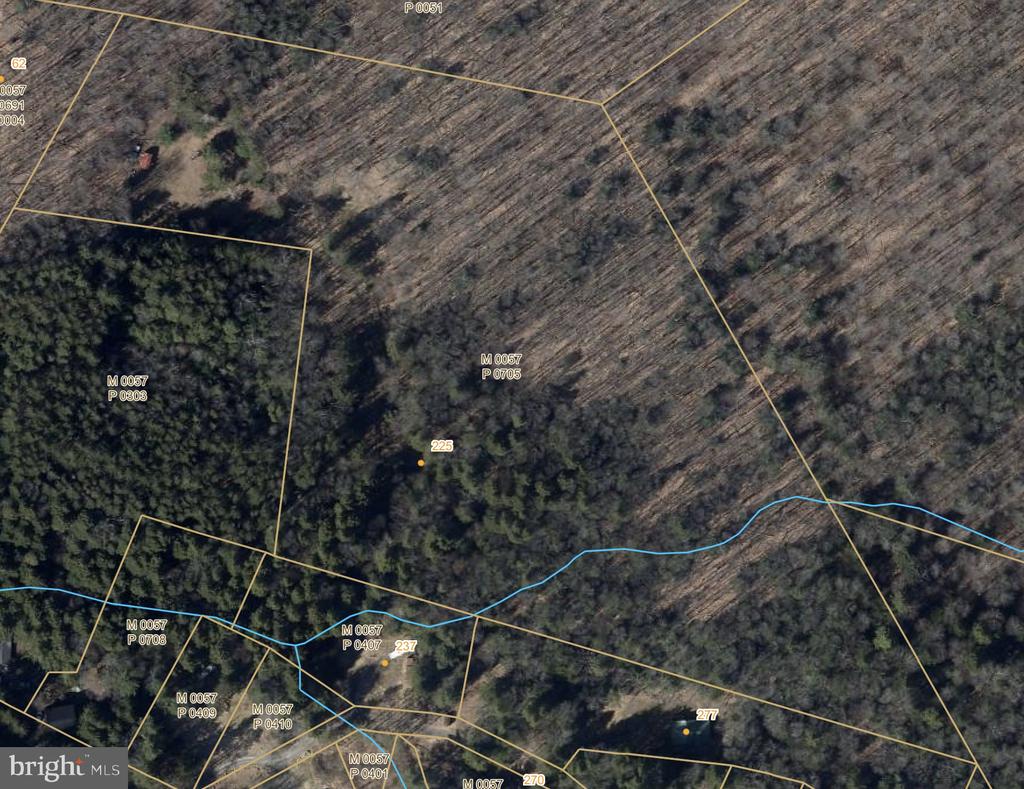 Aerial view of wooded parcels with yellow property boundaries and a blue line.